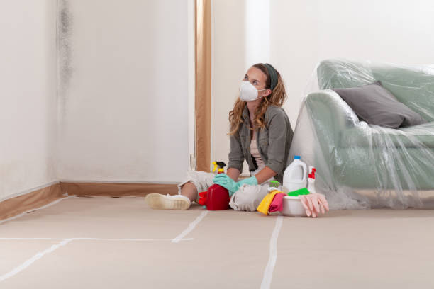 Reliable Mold Remediation contractor in Little Falls, MN by WQB Mold Removal